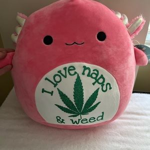Custom 12 inch Squishmallow